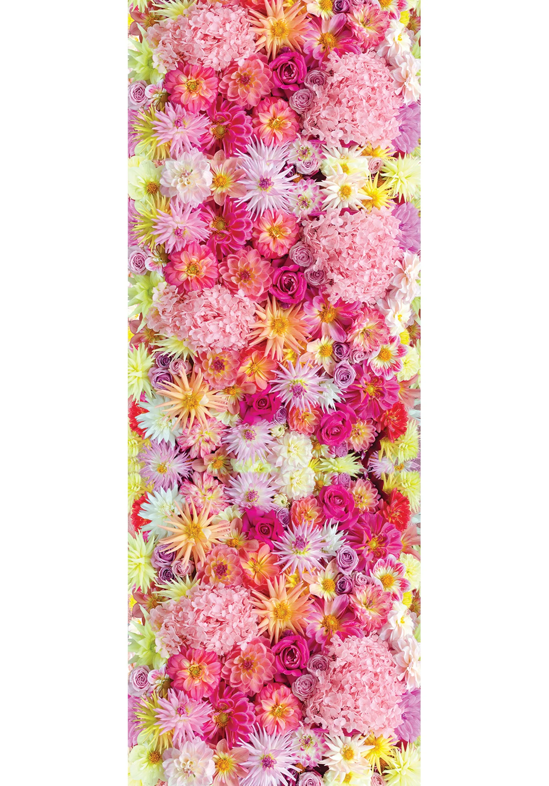 DAHLIAS CASHMERE & MODAL SCARF