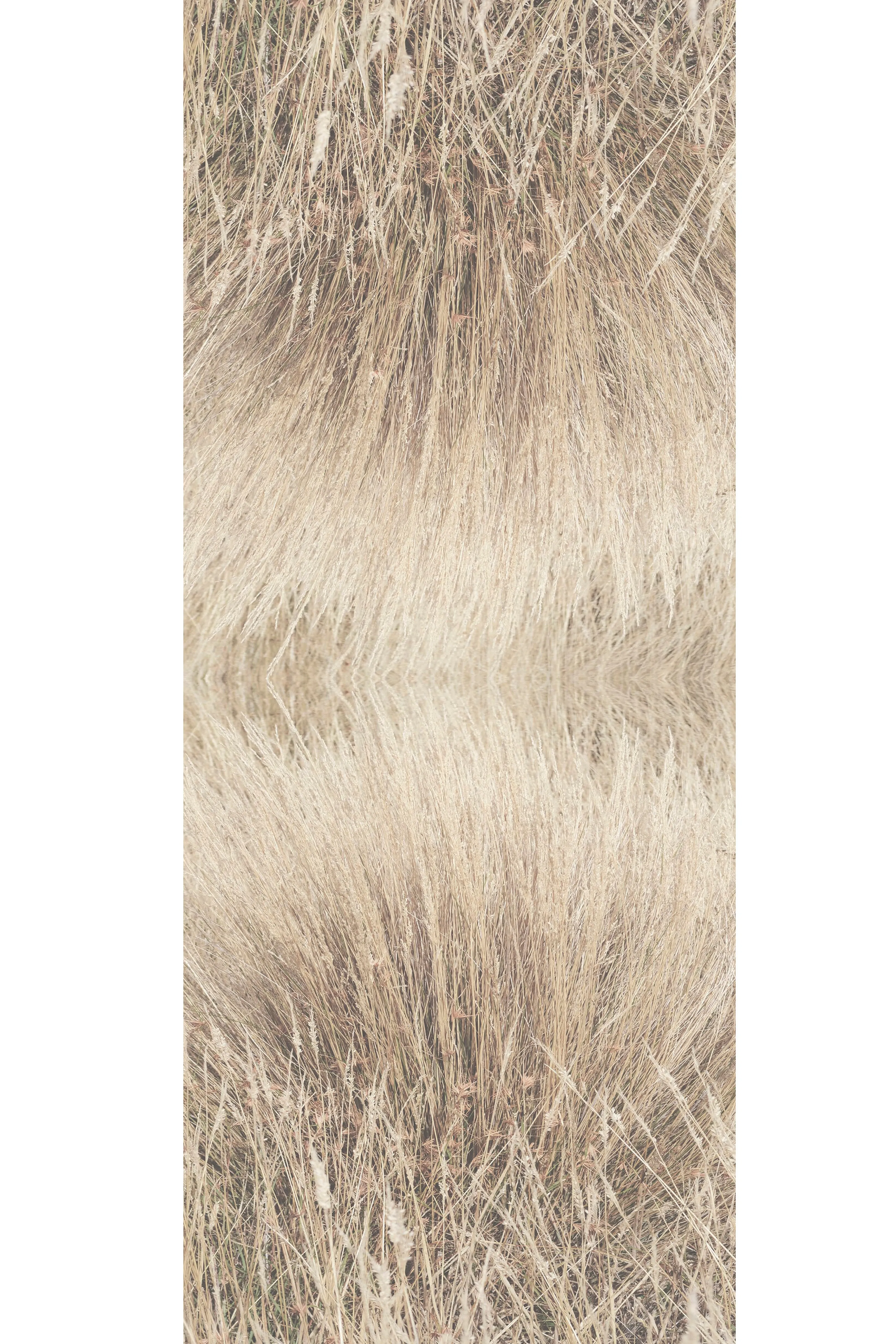 DUNE GRASS CASHMERE & MODAL SCARF